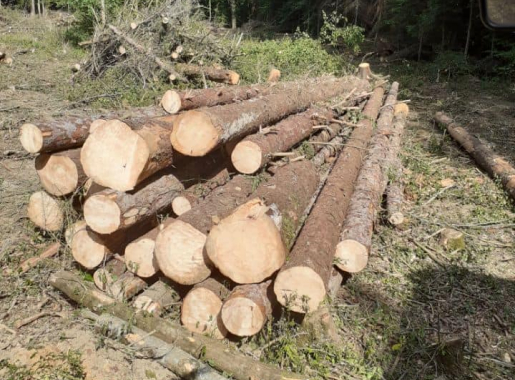 livraison de bois de chauffage dans la Creuse 23