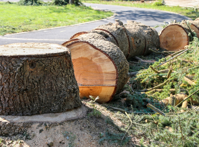 vente et livraison de billes de bois dans la Creuse 23